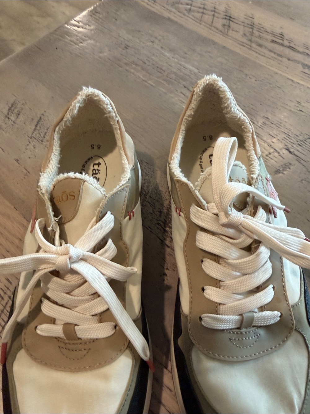 Taos Footwear Olive, Black & Cream Women's Lace-Up Sneakers - Picture 6 of 6